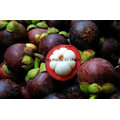 Natural High Quality Mangosteen Peel / Rind Powder